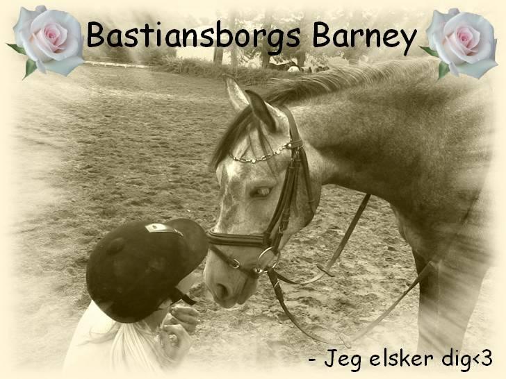 Anden særlig race Bastiansborgs Barney <3 - Jeg elsker dig ? .. Ved du godt det ? :i billede 5