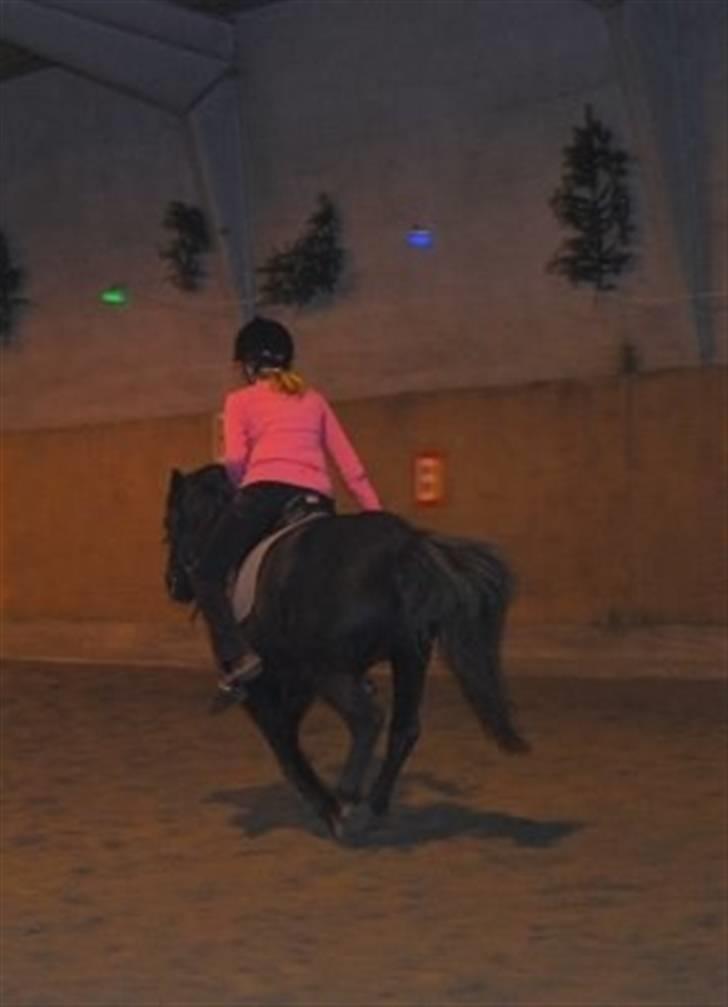 Anden særlig race Maxi - 20 ¤ Vi rider mod drømmen <3 Foto: Ellen (: <3 billede 20