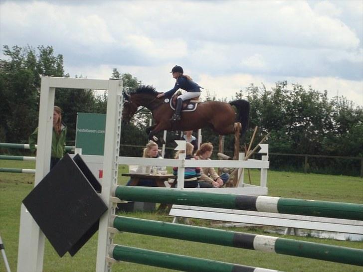 Dansk Varmblod Højvangs Colett - Faaaaaaail.. undskyld Colett <3 - det ser lidt vildt ud d:  billede 4