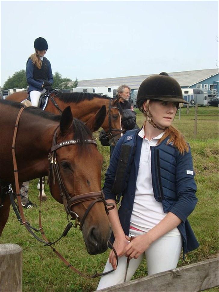 Dansk Varmblod Højvangs Colett - stævne i løgstrup.  billede 6