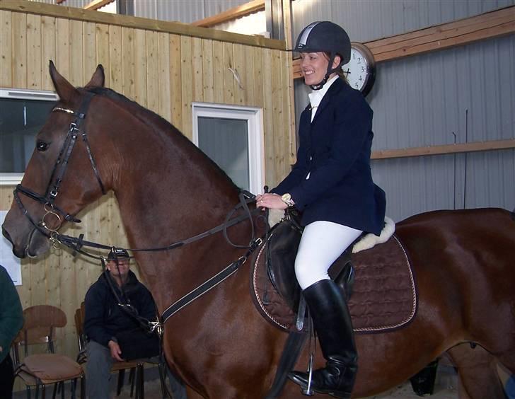 Hollandsk Varmblod ragna - første stævne efter føl basserne efteråret 2009 billede 8