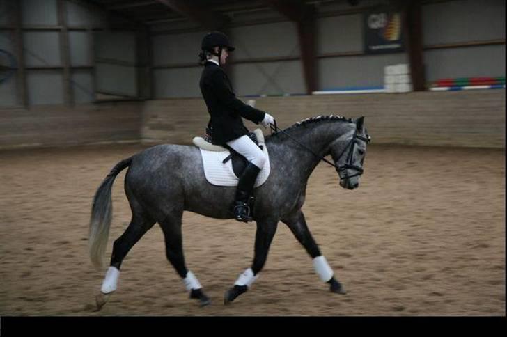 Anden særlig race Bastiansborgs Barney <3 - LB i MBR :) 1.plads :-* billede 9