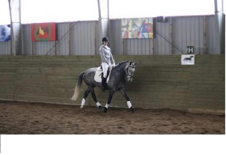 Anden særlig race Bastiansborgs Barney <3 - Opvarmning :-* billede 10