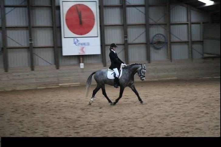 Anden særlig race Bastiansborgs Barney <3 - LB i MBR :) 1.plads :-* billede 11