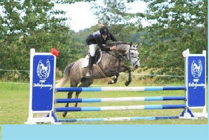 Anden særlig race Bastiansborgs Barney <3 - 90 cm :´) Stjernepony <3 billede 12