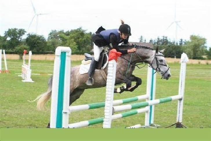 Anden særlig race Bastiansborgs Barney <3 - Bastiansborgs Barney <3 billede 13