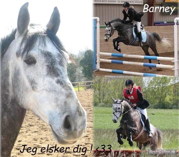 Anden særlig race Bastiansborgs Barney <3 - Ingen ord kan beskrive vores kærlighed <3 billede 15