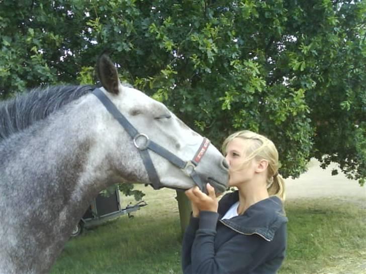 Anden særlig race Bastiansborgs Barney <3 - et kys siger mere end 1000 ord :i billede 17