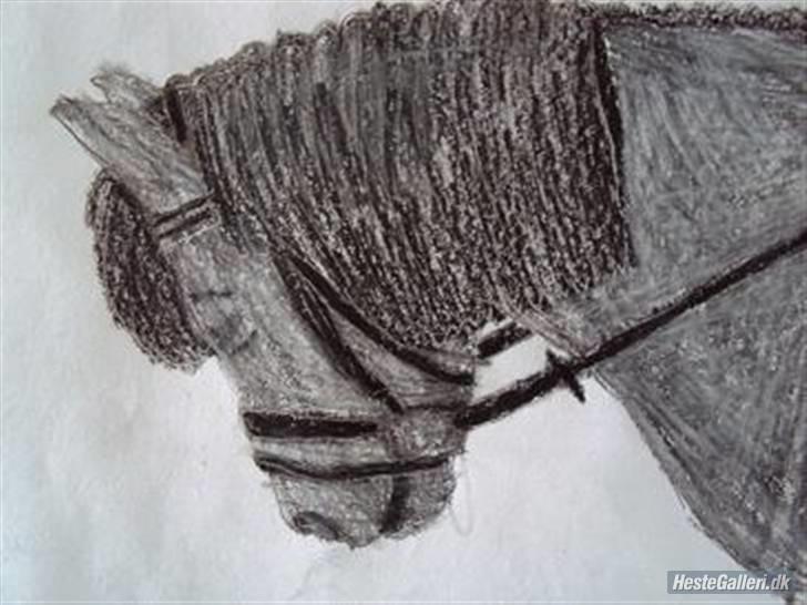 Anden særlig race Bobo (Rider) - bobo som blev tegnet af en sød en på HG ved navn:  ¤ Ditte ´RHO´ ¤ billede 8