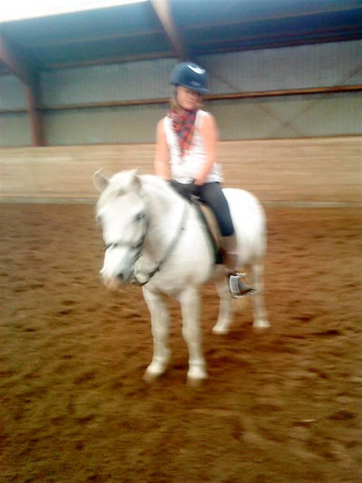 Anden særlig race Jack (SAVNET)  - Thi hi (L) billede 13