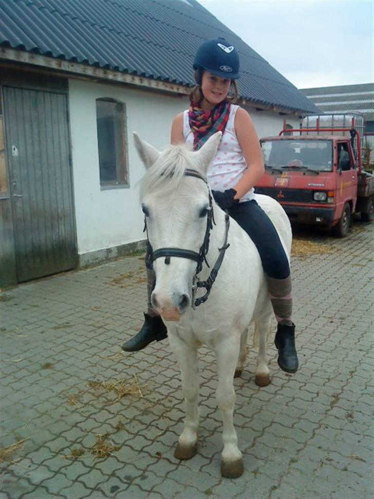 Anden særlig race Jack (SAVNET)  - sidder på ham uden saddel ... billede 14