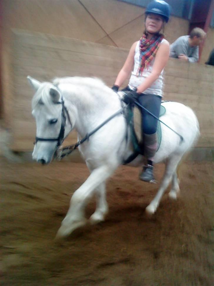 Anden særlig race Jack (SAVNET)  - ridder på kongen ... billede 15