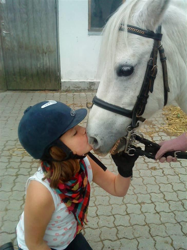 Anden særlig race Jack (SAVNET)  - spørger om han vil gifte sig me mig (: billede 16