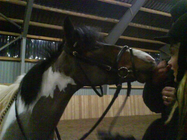 Anden særlig race Anton ( solgt) - første gang jeg ser Anton billede 17