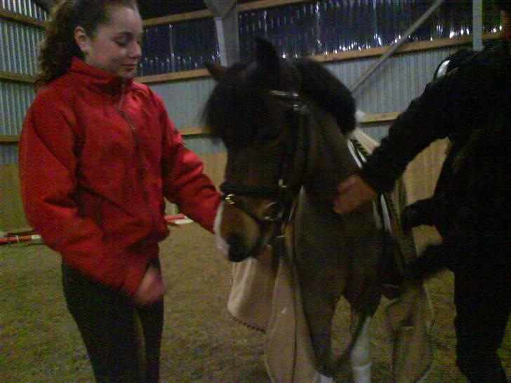 Anden særlig race Anton ( solgt) - første gang jeg ser Anton billede 18