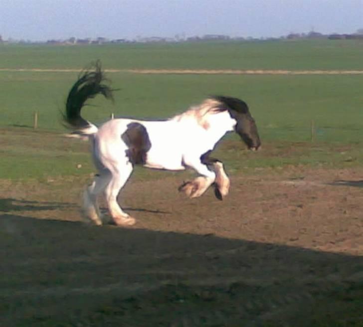 Tinker coke :D billede 16