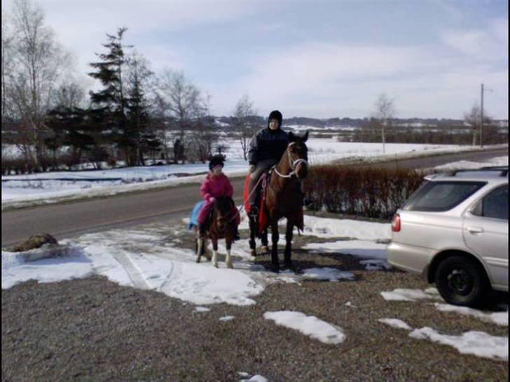 Anden særlig race Cherif ( solgt ) - her er vi på vores ca 5 km tur, med stop hos vores nabo billede 14