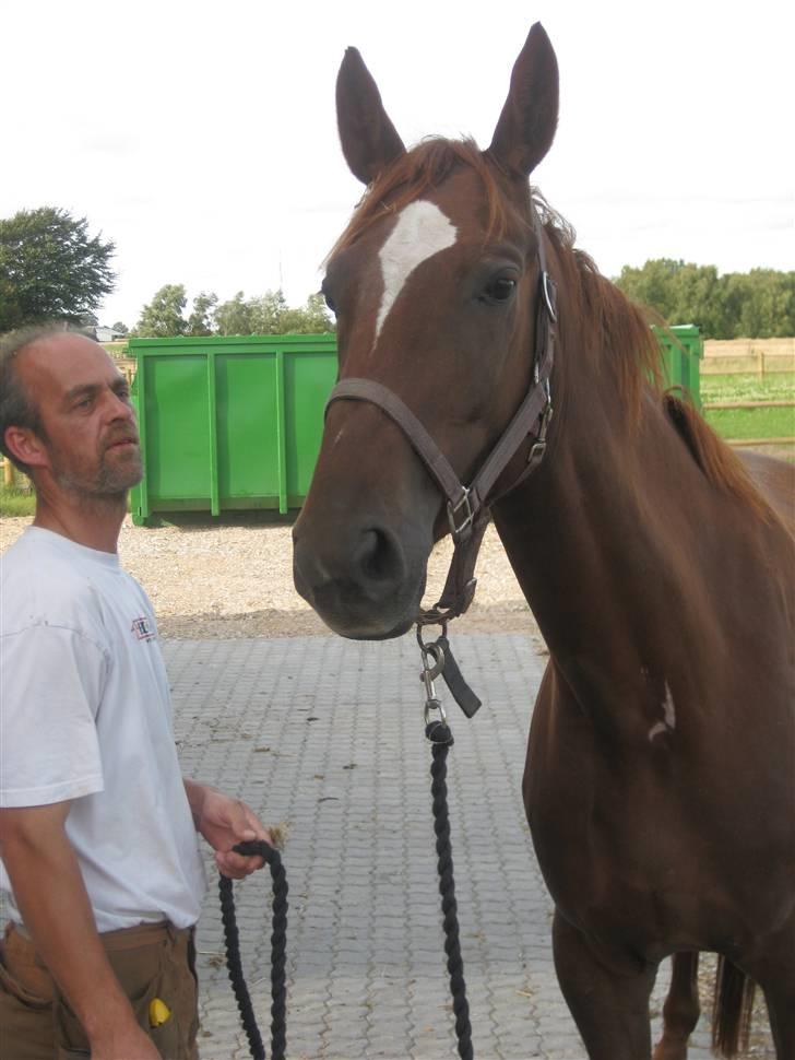 Dansk Varmblod ¨˜°º•¤ Idaho ¤•º°˜¨ - Idaho på vej hjem fra hospitalet:D billede 14