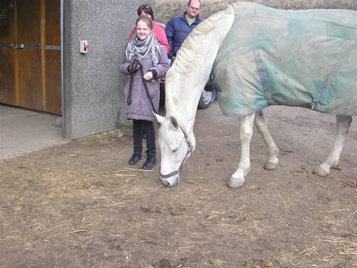 Hannoveraner Ribana - Hun er så rolig at min søster kan holde hende! billede 7