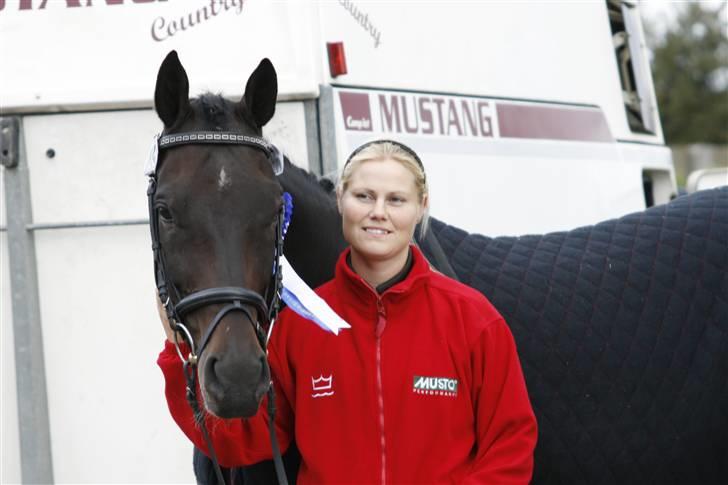 Dansk Varmblod Højersmindes Sheer - Kåring sep 2009 billede 3