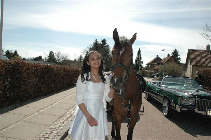 Anden særlig race Chanel <3  - Solgt - Min konfirmation d. 25/4 - Hvor Chanel og Simone kom foran kirken :) <3 såå fint!  billede 7