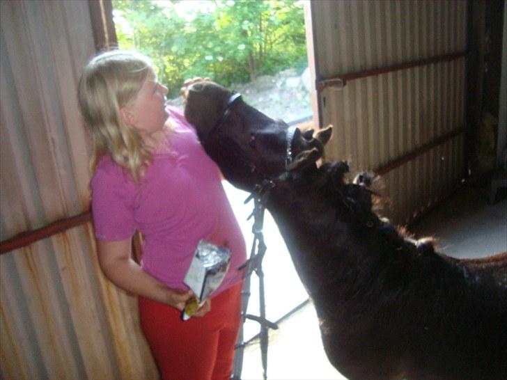 Miniature Krumme *Prinsen* billede 9