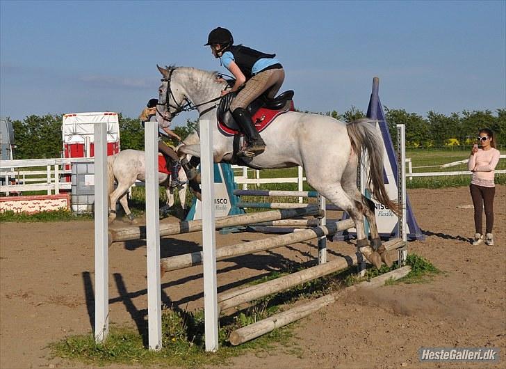 Appaloosa Rachene's Mannie - Sammen kan vi flyve op til månen og tilbage. billede 5