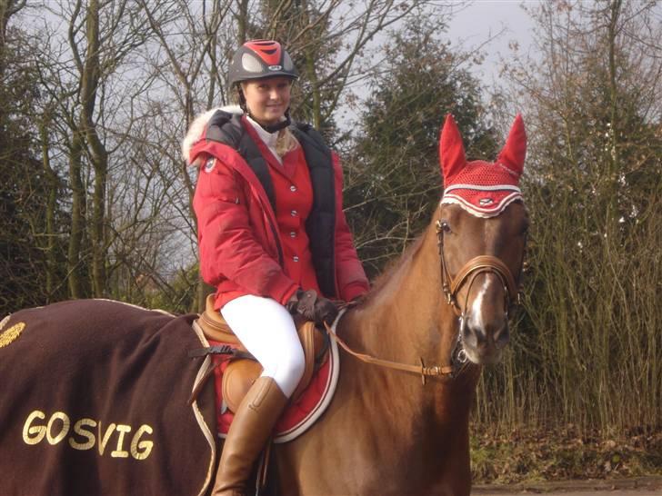 Polsk Varmblod Harpun. SOLGT - smuuuuuuukke hest <3 foto: mor. billede 1