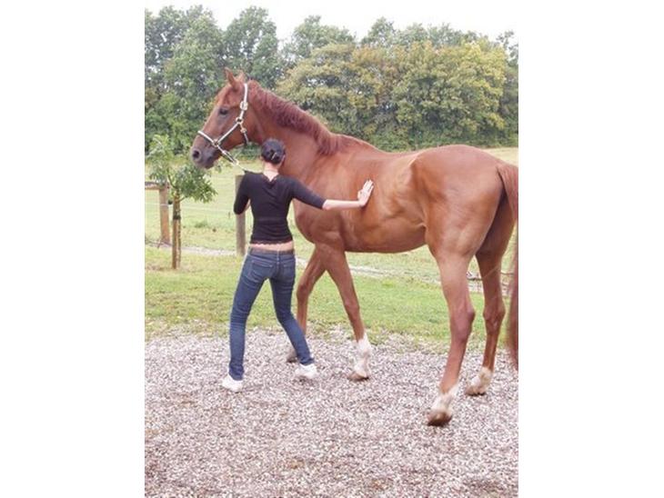 {{currentPhoto.altText}} billede {{currentPhoto.number}}