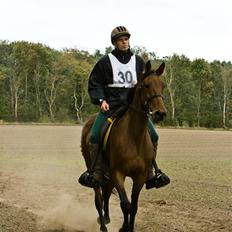 Traver zonny