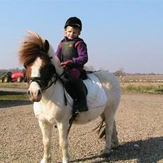 Anden særlig race Kvik 