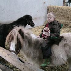 Anden særlig race Kvik 