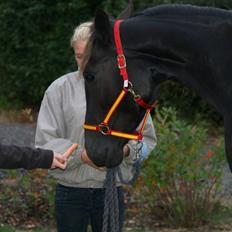 Traver Oddsindskudspuppen(solgt 