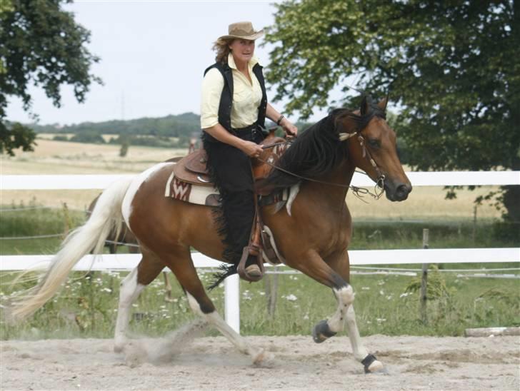 Tennessee Walker Brandy's Just The Best billede 4