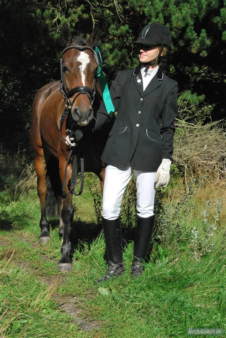 DSP Bæklunds Remus - solgt billede 15