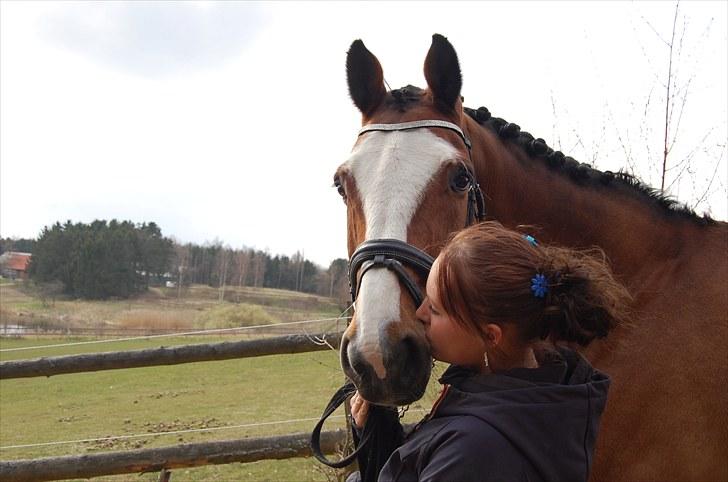 Holstener Diamant   - årh du er så sød :)   billede 1