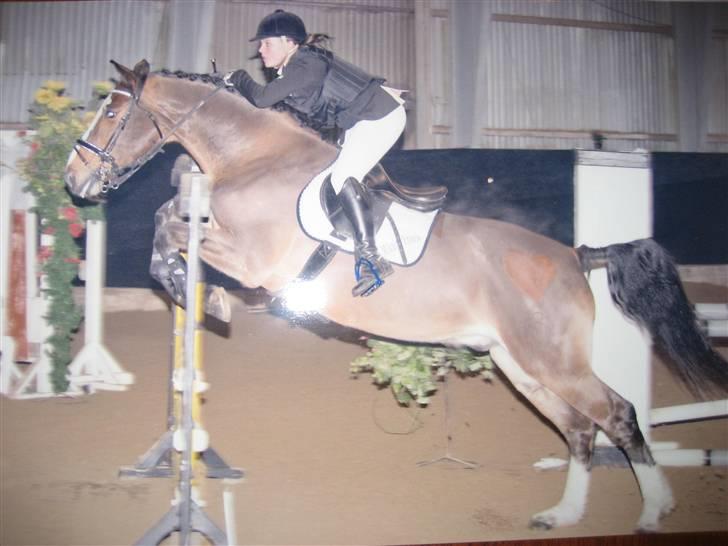 Holstener Diamant   - flomme og mig i LC hvor vi red nul og blev placeret <3 billede 12