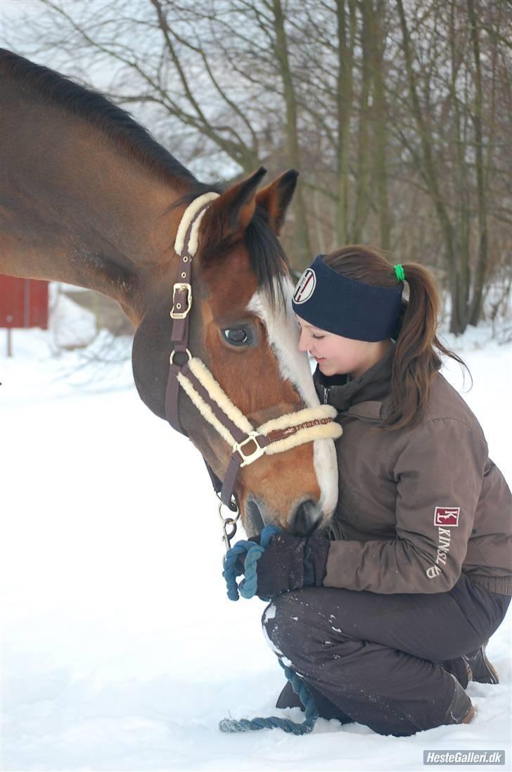 Holstener Diamant   - jeg elsker diig  foto maria billede 14