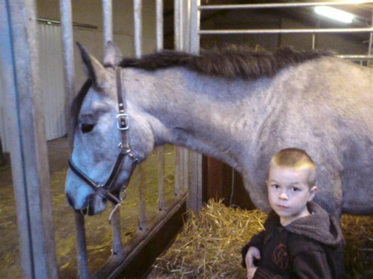 Anden særlig race Medina  - Tilligere part - min lillebror & Medina<33 * 7/10-09 billede 9