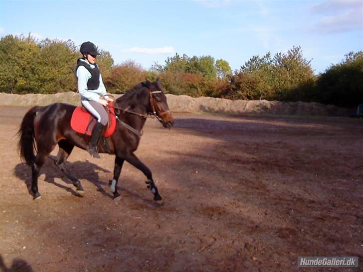 Traver Fame <3 Solgt. billede 20