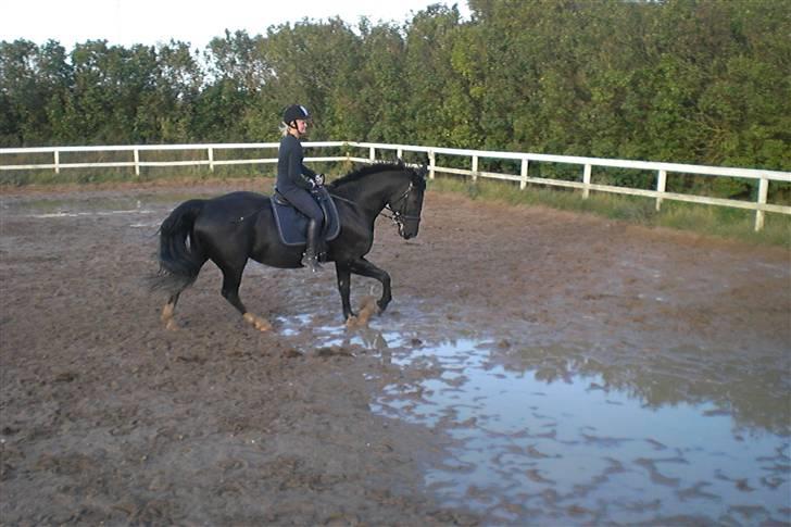 Anden særlig race Casmir <3RIP13 - hyp hyp Casmir det hedder galop <3 billede 20