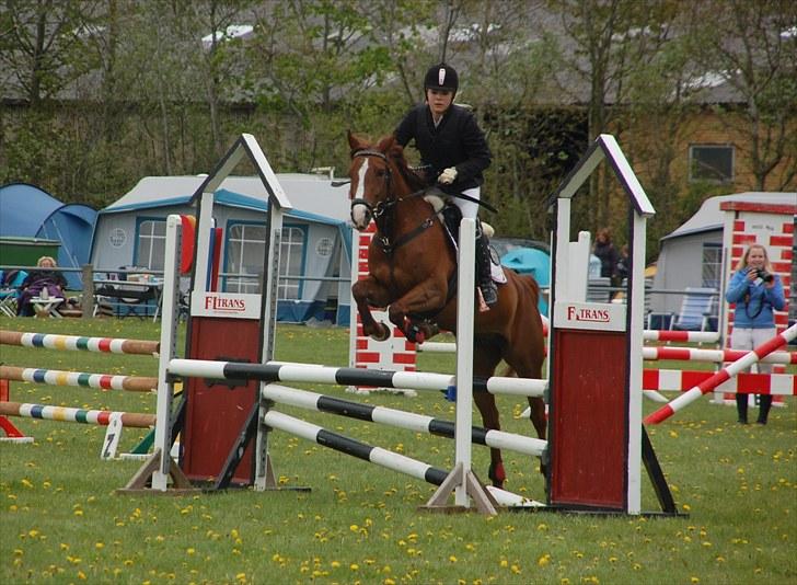 Hollandsk Sportspony Charléne of the fairplay - Cstævne i shr 2010 billede 13