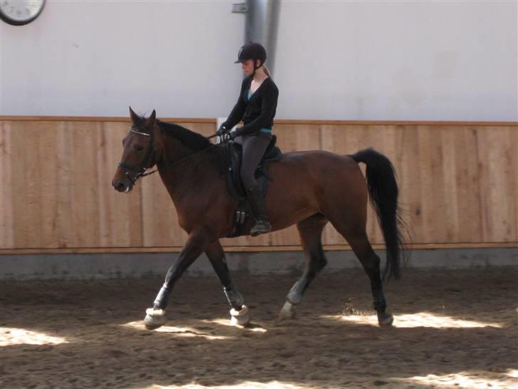 Oldenborg Mon Cherie billede 17