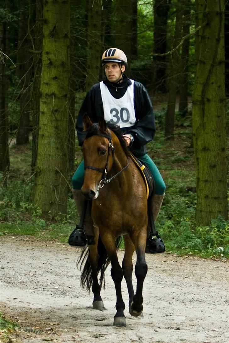Traver zonny - dronninglund 5/9 2009 billede 1