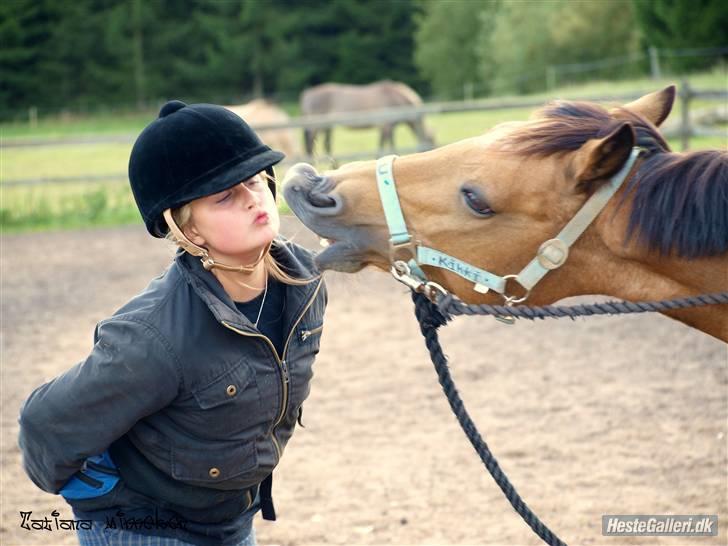 Anden særlig race | Kikki  billede 20