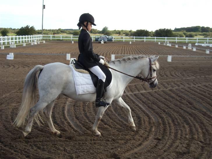 Anden særlig race Perle :*<3 DP:* R.I.P  :( - 11.jeg elsker der her billede:D<3 for det her billede er det bedste billede jeg har ......:) JEG ELSKER DIG MIN LILLE MUS:*<3 billede 11