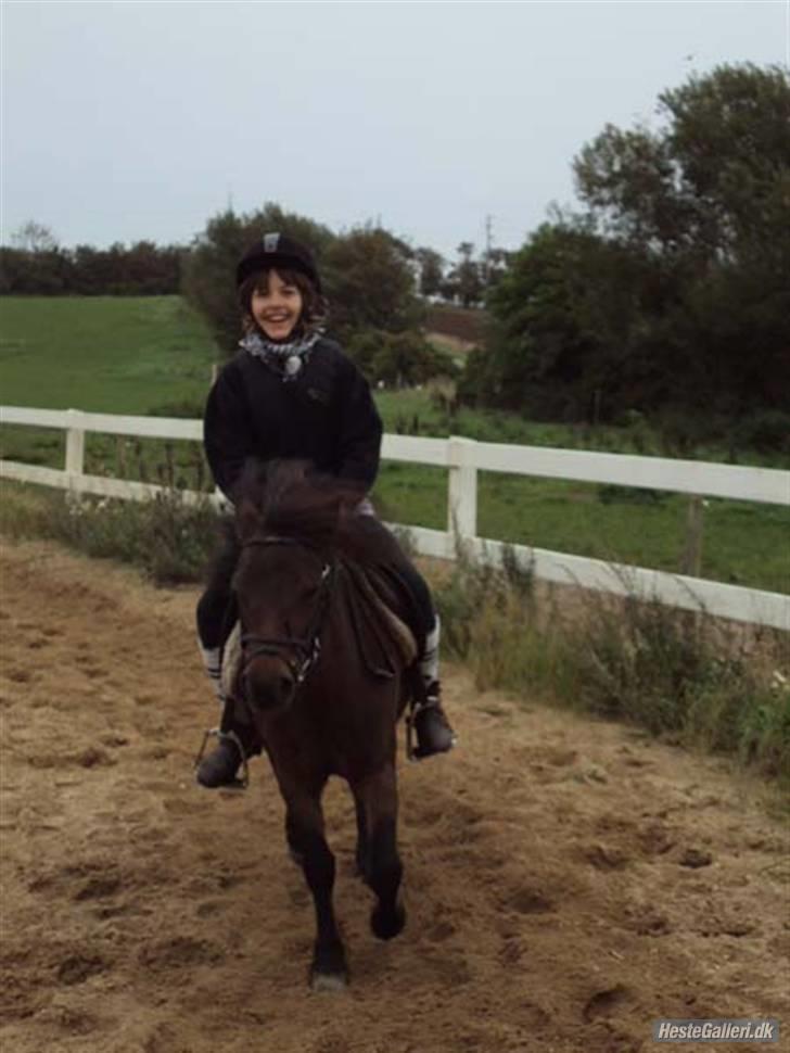 Anden særlig race Musse - Rideskole pony - Lyn hurtige Musse og stor grinene Mette. Kæft jeg elsker diig pony <´3 billede 15