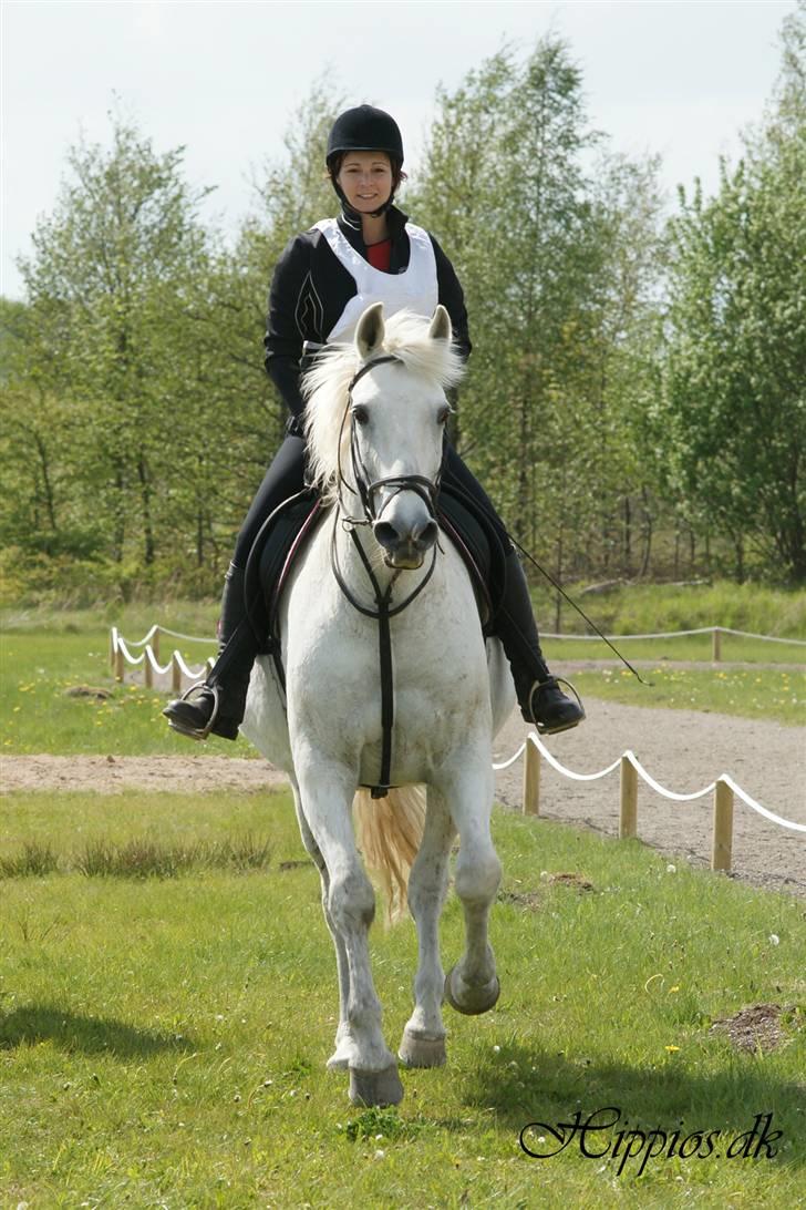 Anden særlig race Queenie* R.I.P.* billede 6