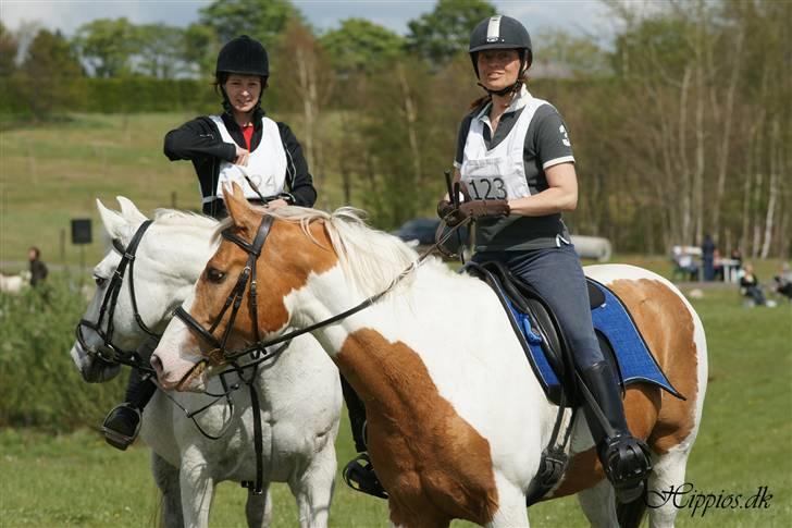 Anden særlig race Queenie* R.I.P.* billede 9