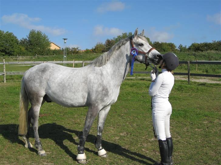 DSP Andy "SOLGT" - I call it LOVE billede 6